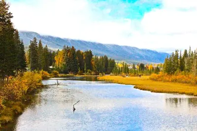 a river with a bird in the middle of it at Luxury Canmore Vacations in Canmore