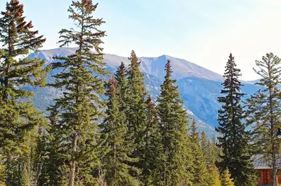 a group of pine trees with mountains in the background at Luxury Canmore Vacations in Canmore