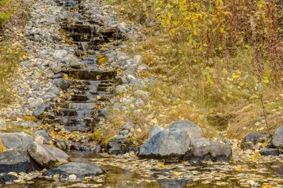 a small stream of water with rocks and trees at Eagles Nest Chalet with Private Deck Near Banff in Canmore