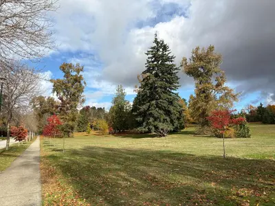 a park with trees and a sidewalk in the grass at Basement Suite in South Vancouver in Vancouver