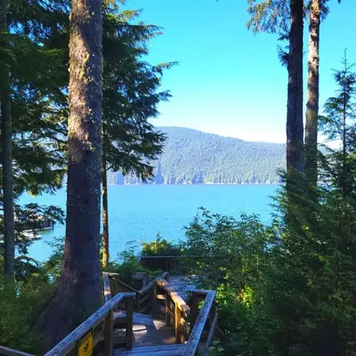 a view of a lake through the trees at Quiet Romantic Getaway - Non Pet Friendly in Port Renfrew
