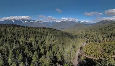 an aerial view of a forest with mountains and a road at Lotus Hideaway in Boston Bar