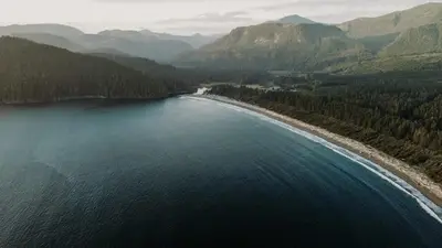 an aerial view of a body of water with a beach at JDF Waystation Cabin - Garden View - Pet Friendly in Port Renfrew
