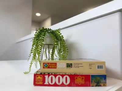 a plant sitting on top of a book at Family Friendly GarageFireplace Sleeps 8 in Edmonton