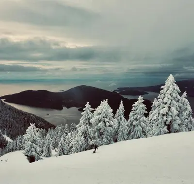a person is skiing down a snow covered slope with snow covered trees at Lynn Canyon Forest Retreat in North Vancouver