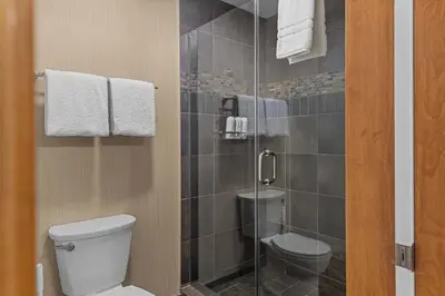a bathroom with a toilet and a glass shower at Tranquil Condo In The Trees Spacious 2Bd Hot Tub & Pool in Canmore