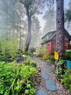 a walkway leading to a house in the woods at Magnolia Petal Accommodation in Salt Spring Island