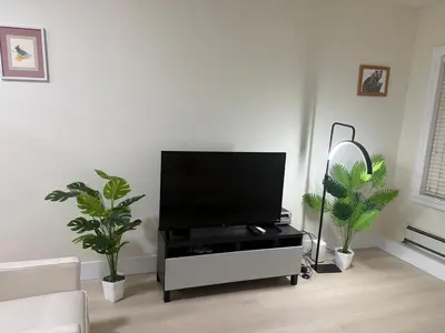 a living room with a flat screen tv on a stand with plants at Cozy Home in Surrey