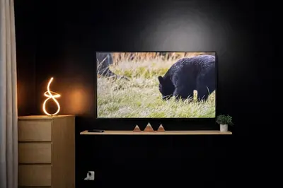 a tv screen with a black bear in a room at The Bear Cave - Artist-Inspired Suite in Langford