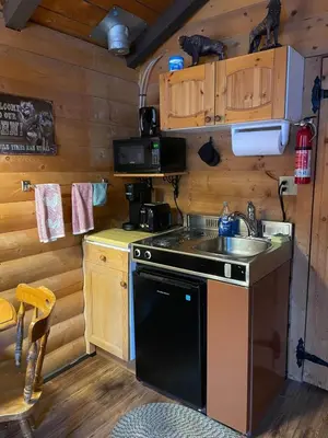 a kitchen with a stove and a sink in a cabin at The White Tail Cabin - Bear Creek Cabins in Winfield