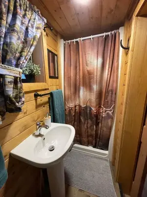 a bathroom with a sink and a shower curtain at The Longhorn cabin - Bear Creek Cabins in Winfield