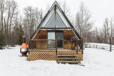 a small cabin in the snow in the woods at The Papa Bear Cabin - Bear Creek Cabins in Winfield