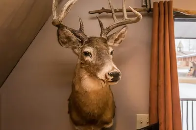 a fake deer head hanging on a wall at The Papa Bear Cabin - Bear Creek Cabins in Winfield