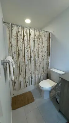 a bathroom with a shower curtain with a toilet at 3BR Family House in NE Edmonton in Edmonton