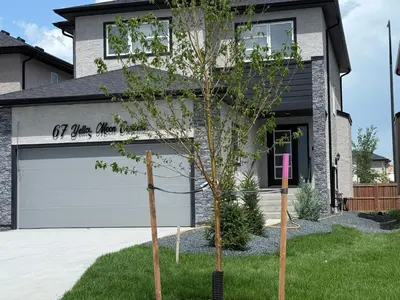 a tree in front of a house with a garage at Cozy Haven 2 in Bélanger