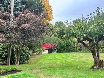 a field of grass with trees and bushes at Maple Woods B&B in Honeymoon Bay