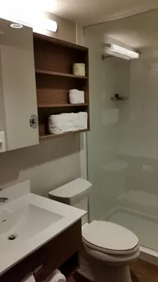 a bathroom with a toilet and a sink and a shower at Microtel Inn & Suites by Wyndham Bonnyville in Bonnyville