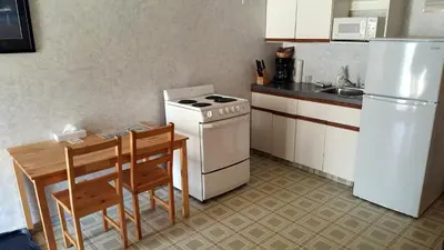 a kitchen with a stove and a table and a refrigerator at Badlands Motel in Drumheller