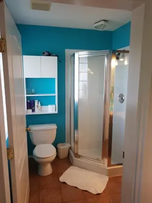 a bathroom with a toilet and a shower at Davis Bay Bed & Breakfast in Sechelt