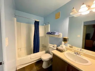 a bathroom with a sink and a toilet and a shower at Dockside Inn in Cold Lake