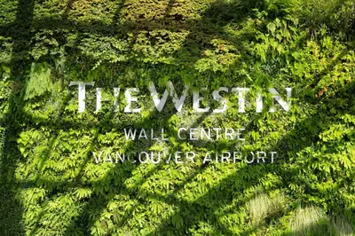 a sign that reads the witch wall center walk center swampy epoxyforest at The Westin Wall Centre, Vancouver Airport in Richmond