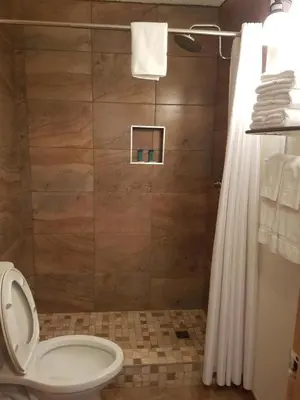 a bathroom with a toilet and a shower curtain at Pines Motel in Hinton