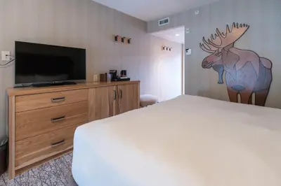 a bedroom with a bed and a tv on a dresser at Moose Hotel and Suites in Banff