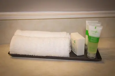 a tray with a pile of towels and a bottle of lotion at Bedrock Motel in Mayo Landing