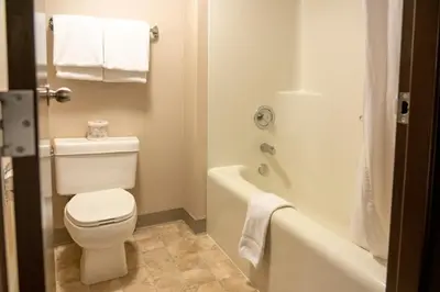 a bathroom with a toilet and a bath tub with towels at The Rundlestone Lodge in Banff
