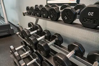 a row of dumbbells on a rack in a gym at The Rundlestone Lodge in Banff