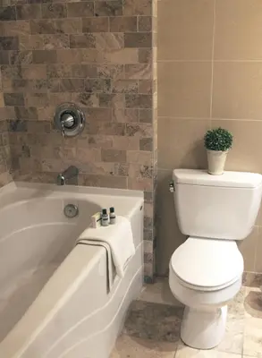 a bathroom with a toilet and a tub with a plant at Fantasyland Hotel in Edmonton