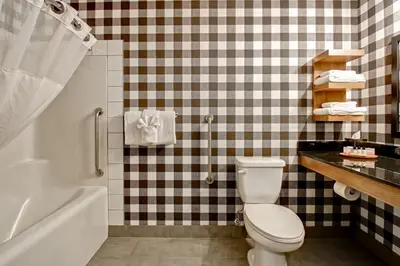 a bathroom with a toilet and a sink and a tub at Canalta Lodge in Banff
