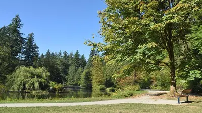 a park with a bench next to a lake at Holiday Inn Express Vancouver-Metrotown (Burnaby) in Burnaby