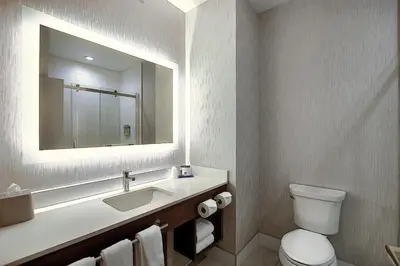 a bathroom with a sink and a toilet and a mirror at Holiday Inn Express Airport Calgary by IHG in Calgary