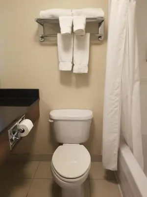 a bathroom with a white toilet and towels at Holiday Inn Express Edmonton Downtown by IHG in Edmonton