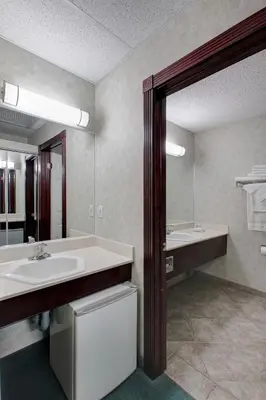 a bathroom with a sink and a mirror at Ramada by Wyndham Nisku Edmonton Airport in Nisku