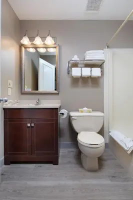 a bathroom with a toilet and a sink and a mirror at Siesta Suites in Kelowna