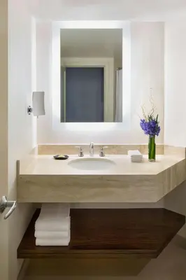 a bathroom with a sink and a mirror at Sheraton Vancouver Wall Centre in Vancouver