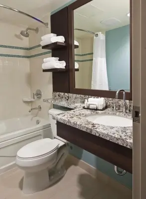 a bathroom with a toilet and a sink and a mirror at Aava Whistler Hotel in Whistler