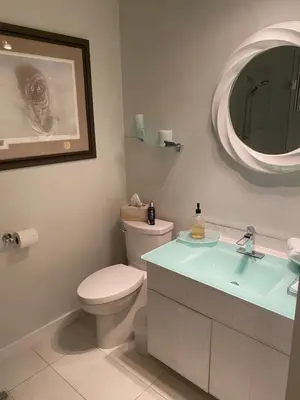 a bathroom with a toilet and a sink and a mirror at A Room at the Camelia Bed and Breakfast in Tsawwassen