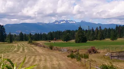 a field with a fence and mountains in the background at Paradise Acres Ranch in Nanoose Bay