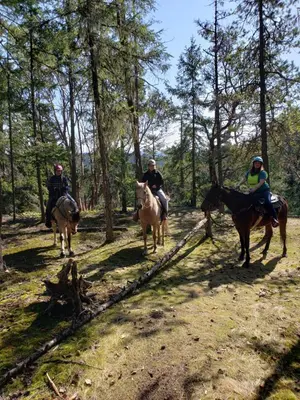 three people riding horses on a trail in the woods at Paradise Acres Ranch in Nanoose Bay