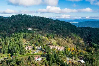 an aerial view of a town in the middle of a forest at Villa Eyrie Resort in Malahat