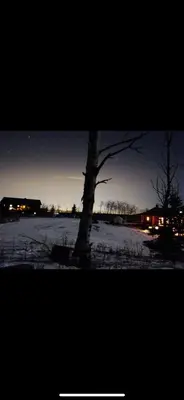 a tree in a snow covered field at night at Heart West Haven in Priddis