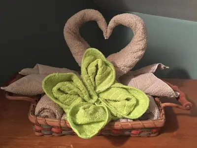 a basket with towels and a green flower in it at Mistiso's Place in Nelson