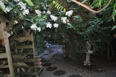 a garden with a fence and an orange tree with flowers at Garden House in Courtenay