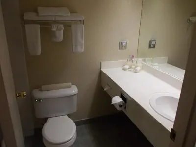 a bathroom with a sink and a toilet and a mirror at Rocky Inn Express in Rocky Mountain House