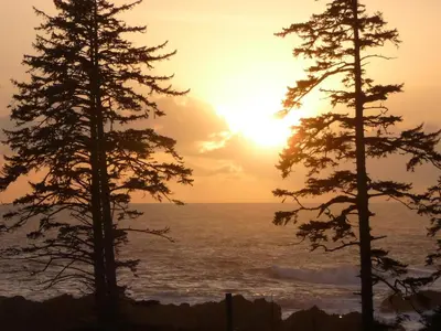 a sunset over the ocean between two trees at Oceanview Condo - Pacific Rim Retreat in Ucluelet