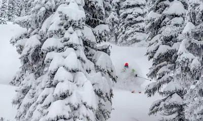 a person skiing through a snow covered tree at Eleven Revelstoke Lodge in Revelstoke