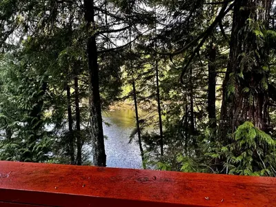 a red bench sitting in front of a river at Waterfront Timber-Frame Cottage! in Ucluelet